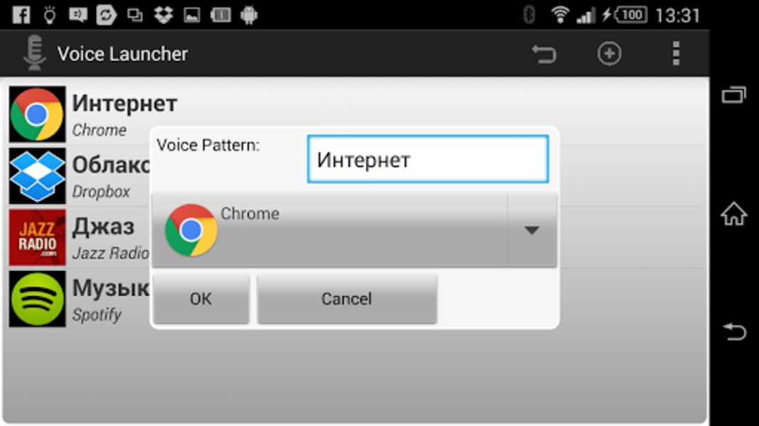 Voice Launcher - Preview 2