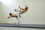 Capoeira Lessons screenshot 4