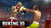 World Boxing 3D - Real Punch : Boxing Games screenshot 6