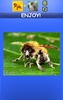 Mix Aminals. Animal morphing screenshot 11