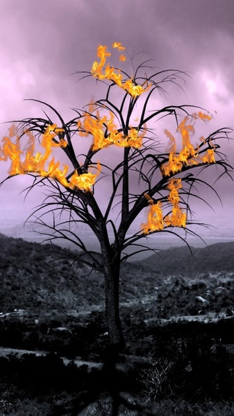 Fire drawing - Preview 3