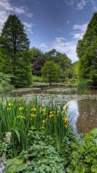 Nature Live Wallpaper - Preview 6