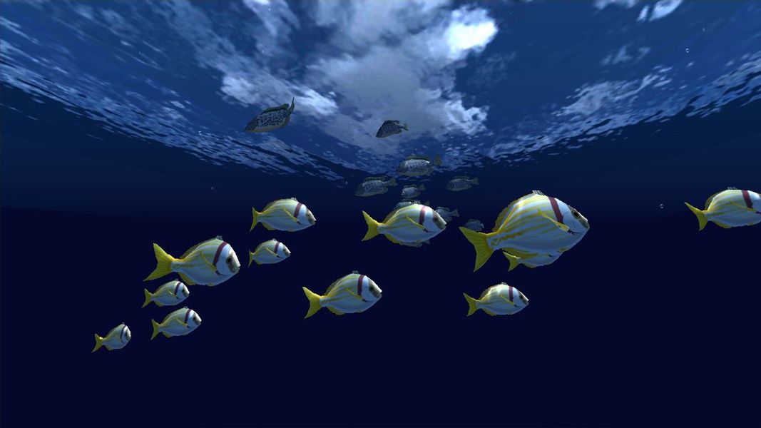 Fish Schooling - Preview 4