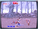 Mame Plus screenshot 2