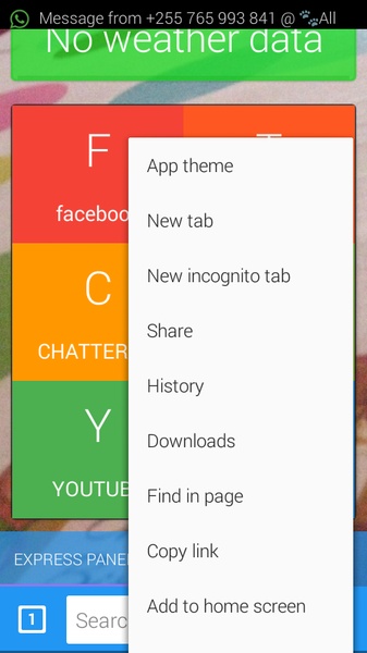 cheetah browser - Preview 1