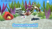 axolotl screenshot 11