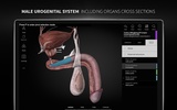 Anatomyka - 3D Anatomy Atlas screenshot 2