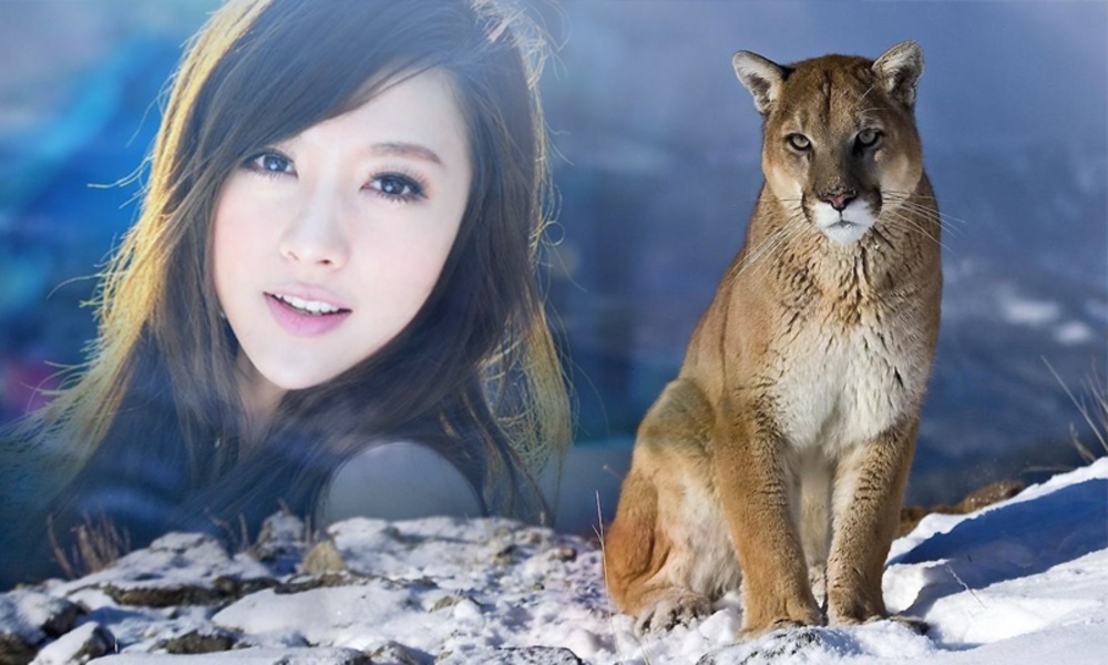 Wildlife Photo Frame - Preview 3