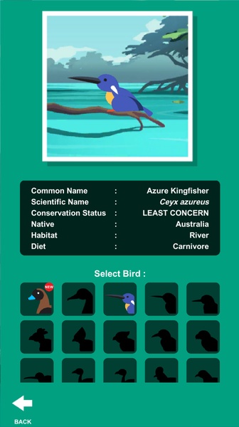 Birdstopia - Preview 10