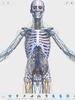 V. Anatomy screenshot 12
