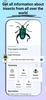 Bug Bite Identifier: Insect id screenshot 1