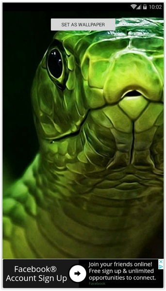 HD Snake Wallpapers - Preview 2