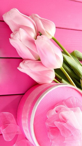Pink Tulips Live Wallpaper - Preview 3