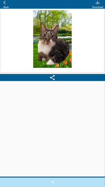 Garden Photo Editor - Preview 8