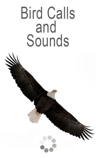 Bird Calls and Sounds - Preview 4