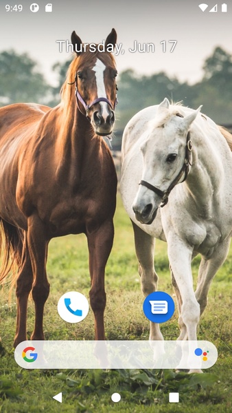 Horse Wallpaper HD - Preview 6