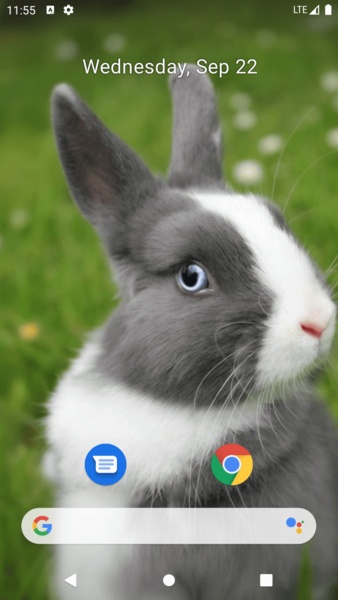 Rabbit Wallpaper - Preview 2