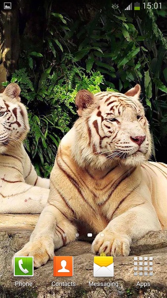 White Tiger Live Wallpaper - Preview 1