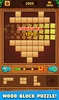 Wood Block Puzzle Classic Game screenshot 11
