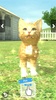 with My CAT screenshot 8