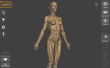 3D Anatomy for the Artist screenshot 3