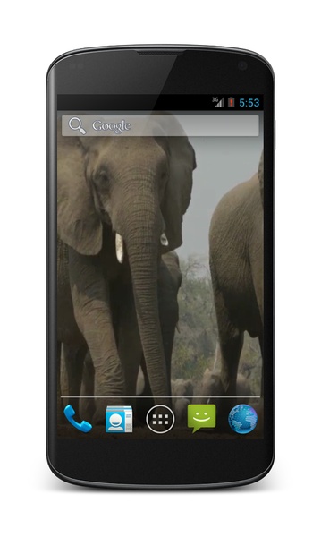 Elephant Video Wallpaper - Preview 2