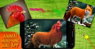 Animal morph 2 screenshot 5