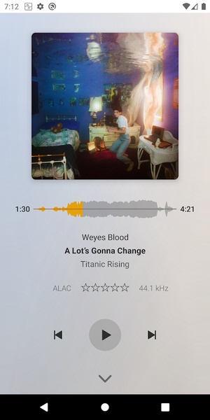 Plexamp - Preview 2