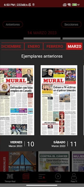 Mural - Preview 9