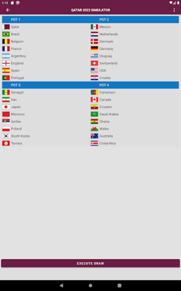 Qatar 2022 World Cup simulator - Preview 7