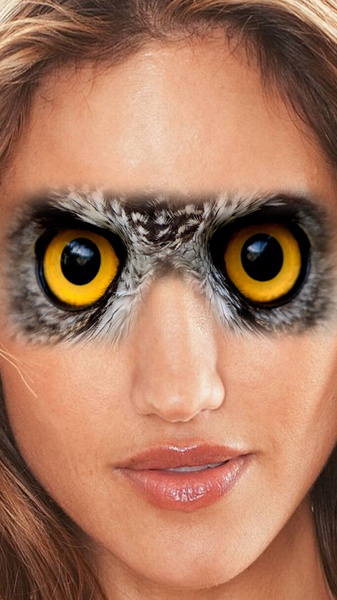 Animal Face Changer - Preview 3