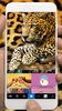 Leopard Fur screenshot 1