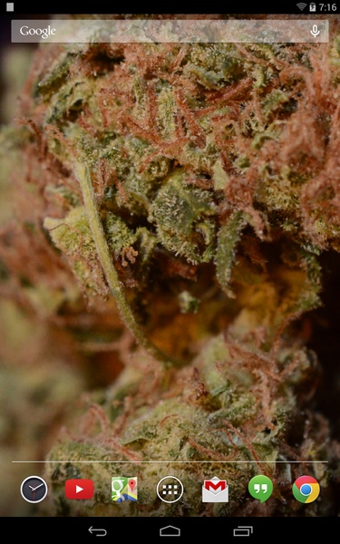 Sour Diesel Live Wallpaper - Preview 3