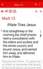 Study Bible commentary offline screenshot 12