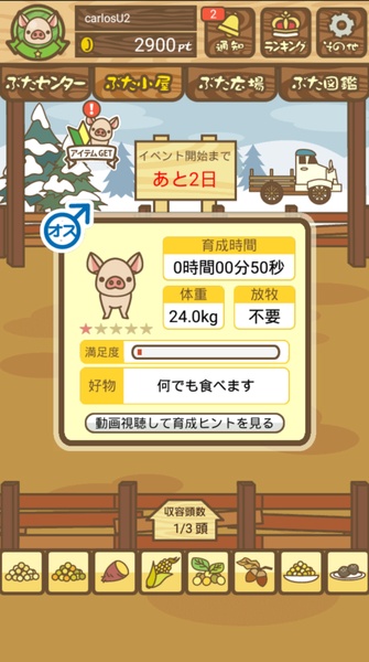 Pig Mix - Preview 3
