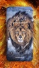 Lion Wallpaper screenshot 1