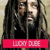 Lucky Dube Songs Offline screenshot 1