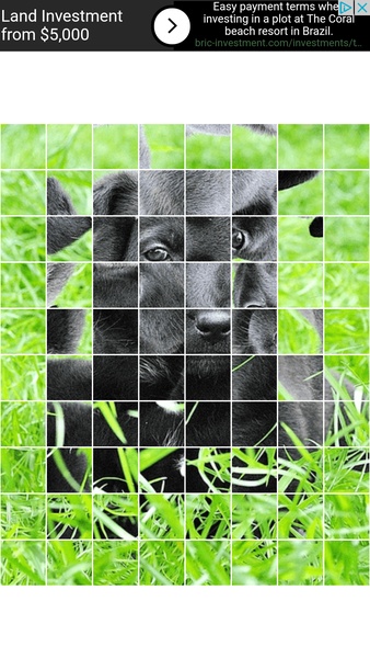 Puzzle Animals - Preview 2