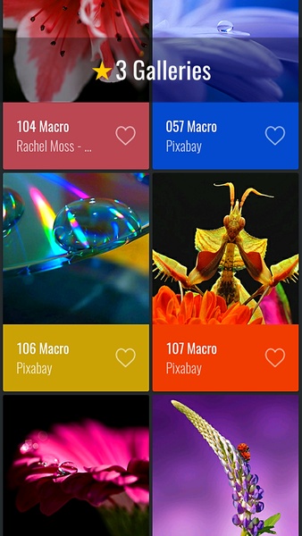 Macro Wallpapers - Preview 7