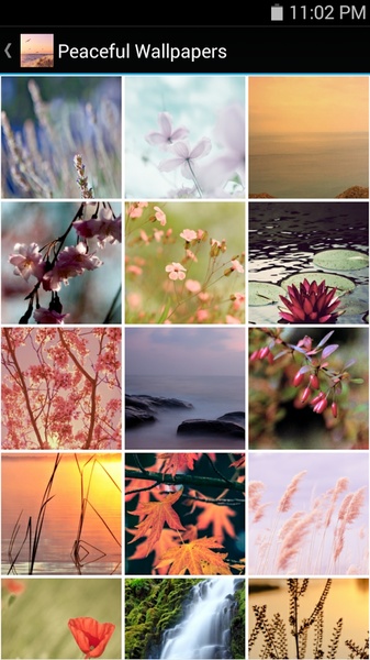Peaceful Wallpapers - Preview 2