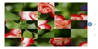 Puzzle Flowers screenshot 1