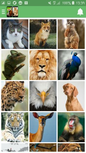 Animal Wallpapers - Preview 3