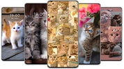 Cute Cat Wallpaper screenshot 1