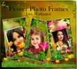 Flower Photo Frames LWP screenshot 1