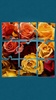 Rosen Puzzle Spiele screenshot 1