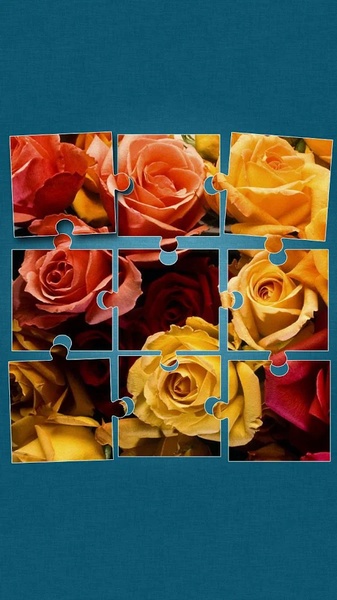 Roses Jigsaw Puzzle - Preview 1