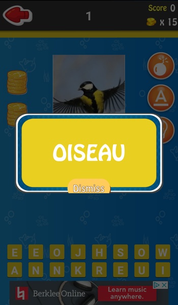 quizz - Preview 4