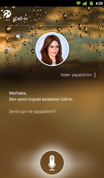 Mobil Asistan - Preview 6