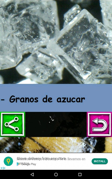 MICROSCOPIO USB FOTOS - Preview 4