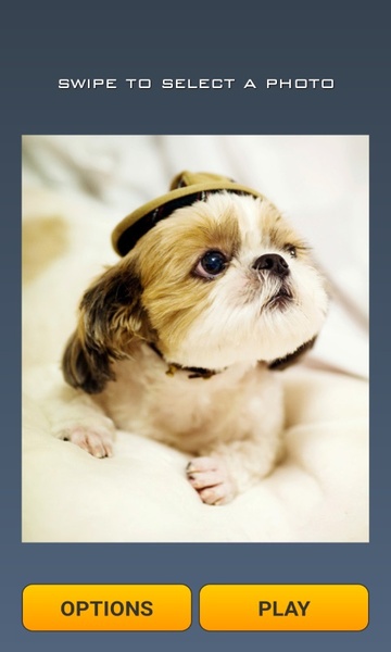 Cute Dogs Puzzle - Preview 5
